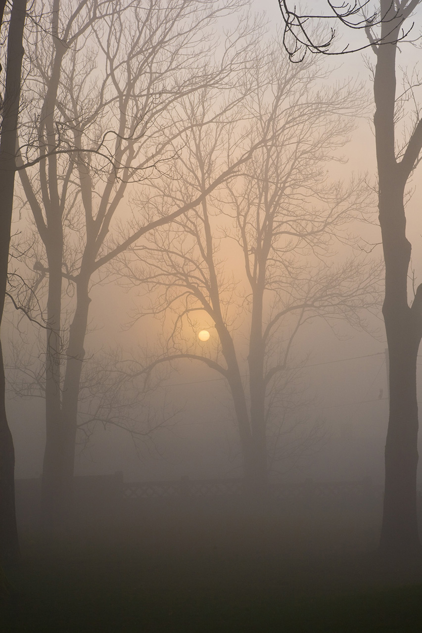 Łąka we mgle - pejzaż, fotografia podróżnicza